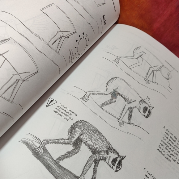 *DRAW RAINFOREST ANIMALS Scholastic Book - Picture 3 of 6